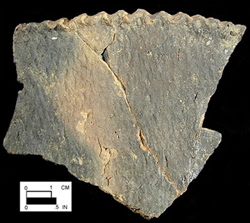 Keyser pie crust rim sherd from Delaware site 7-KF-12/30-Courtesy of the Delaware State Museums.